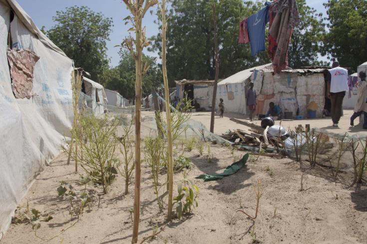 Campo de desplazados en Nigeria
