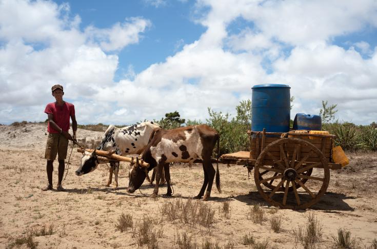 La falta de agua en varias regiones del mundo es una de las consecuencias del cambio climático.