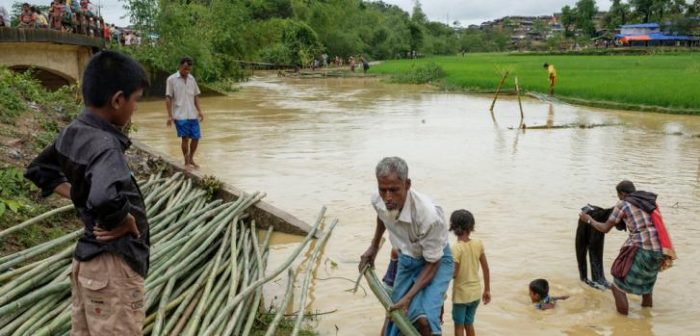 Los rohingyas recolectan postes de bambú para construir sus viviendas y lavan sus ropas en el río. Desde el 25 de agosto, unos 507.000 rohingyas han buscado refugio en Bangladesh. © Antonio Faccilongo