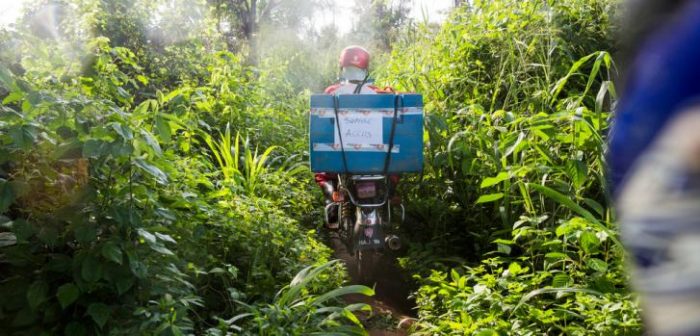 En moto, uno de nuestros trabajadores lleva bolsas de hielo hacia nuestros centros de vacunación, que sirven para mantener la cadena de frío. República Democrática del Congo, junio de 2016
William Daniels/(Panos Pictures) para National Geographic