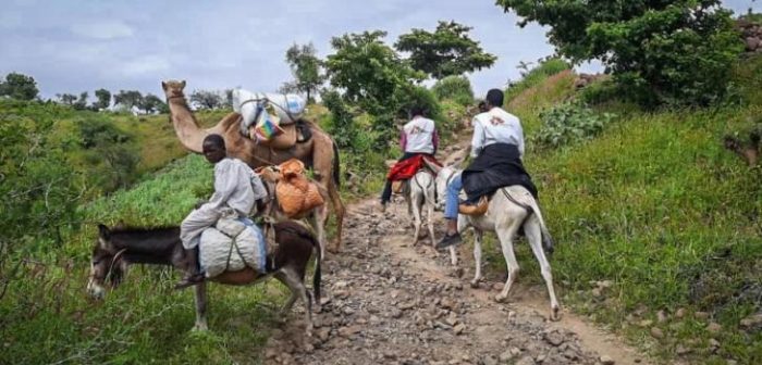El equipo de Médicos Sin Fronteras se traslada en burros desde la ciudad de Rokero hasta Umo, en un viaje de cuatro horas en Sudán.MSF