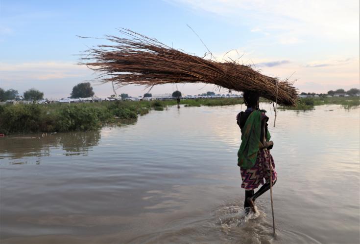 Ante las inundaciones, una mujer lleva ramas de árboles para construir una nueva casa en la ciudad de Pibor, Sudán del Sur. Octubre de 2020.