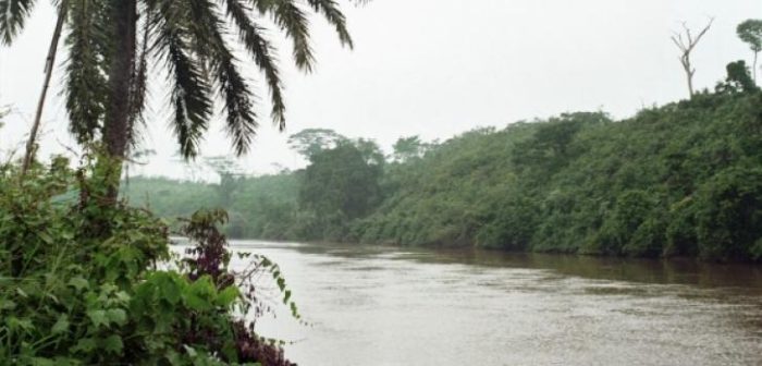 Shabunda, Kivu Sur © MSFMSF