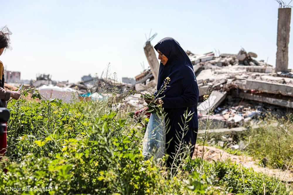 Las fronteras de Gaza están cerradas desde el 2 de marzo de 2025 y la ayuda totalmente restringida. Las familias desplazadas dependen de la recolección de alimentos para cubrir sus necesidades básicas. febrero 2025.