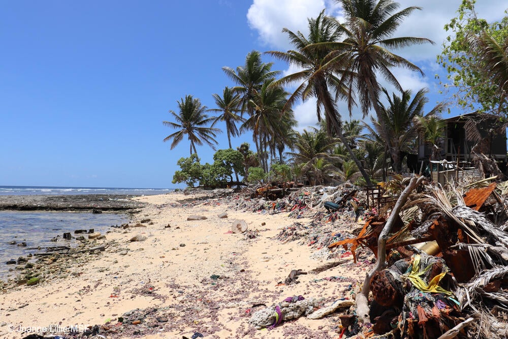 Alertamos en la COP30 sobre el vínculo entre cambio climático y salud, y pedimos medidas urgentes para proteger a poblaciones vulnerables.